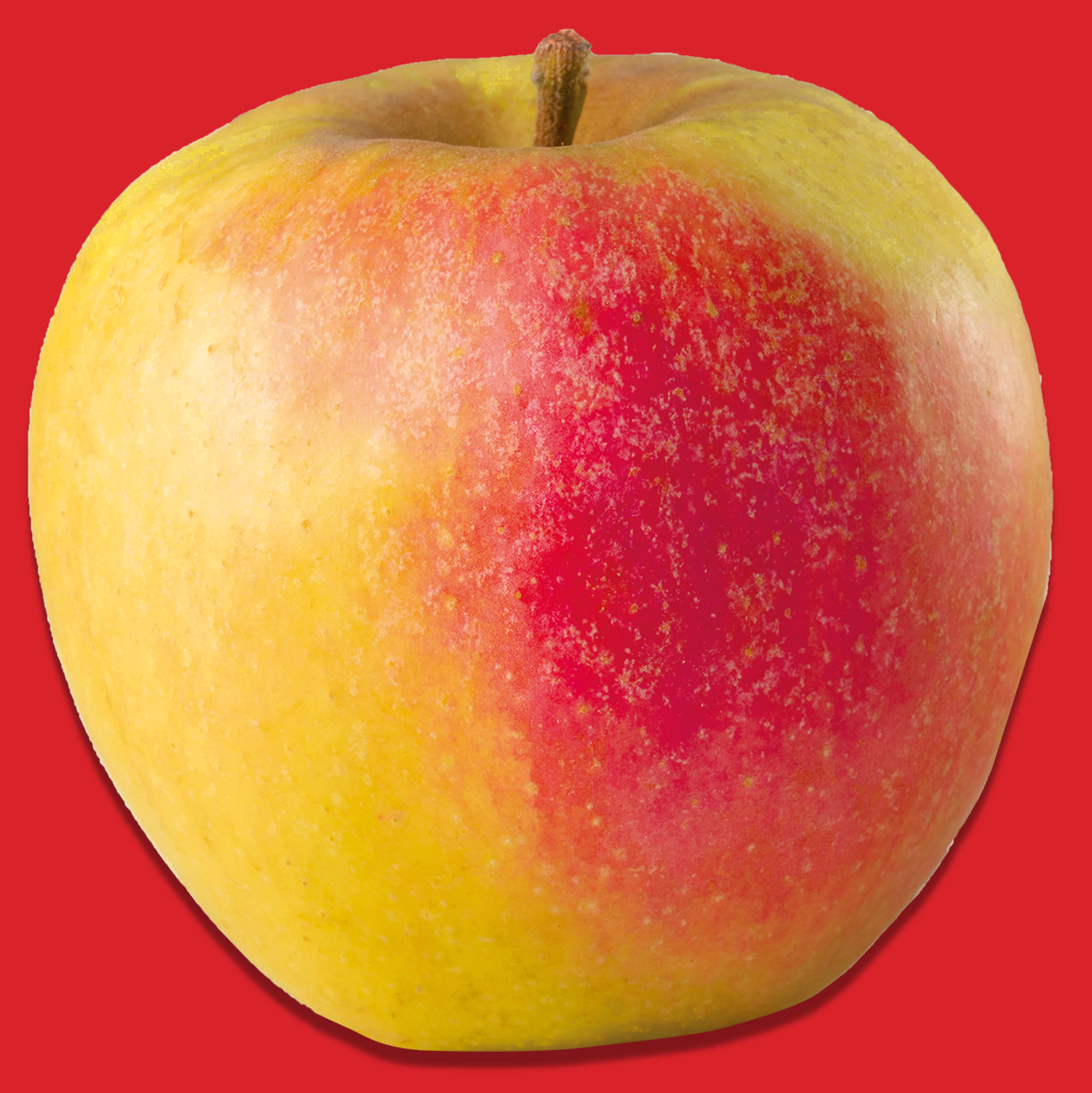 Ein leckerer und frischer Apfel