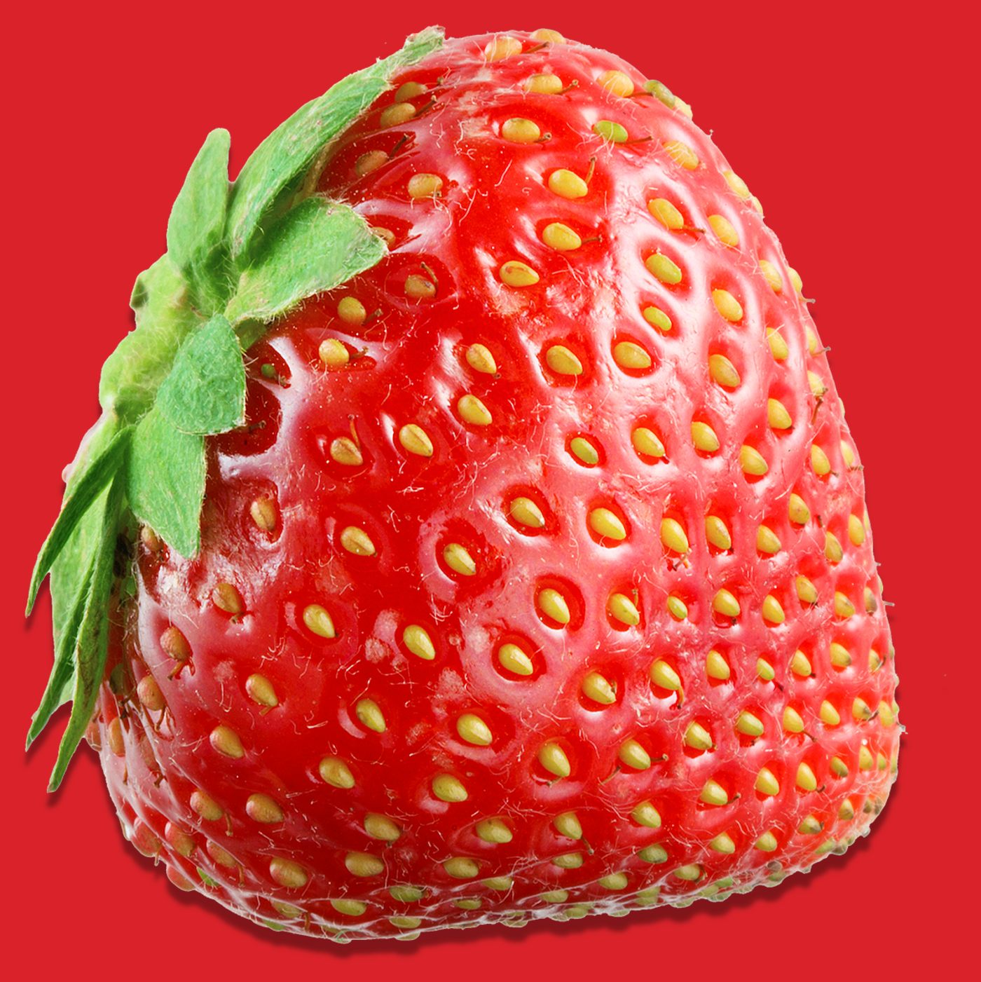 Eine leckere und frische Erdbeere