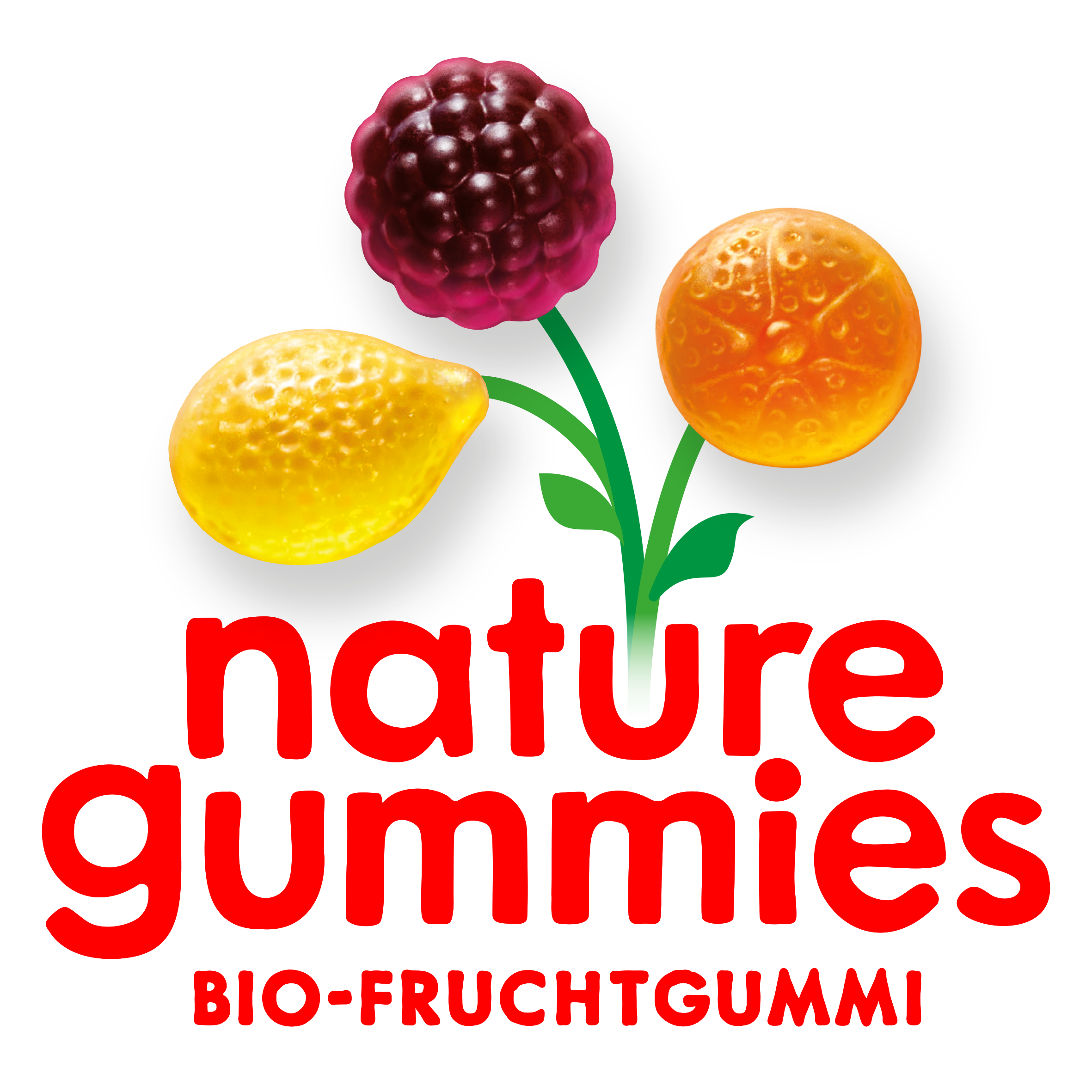 Logo von nature gummies mit drei Fruchtgummi-Stücken in Form einer Brombeere, einer Zitrone und einer Orange, die als stilisierte Pflanze mit grünen Blättern dargestellt sind. Darunter steht in roter Schrift 'nature gummies' und 'BIO-FRUCHTGUMMI'. Der Hintergrund ist transparent.
