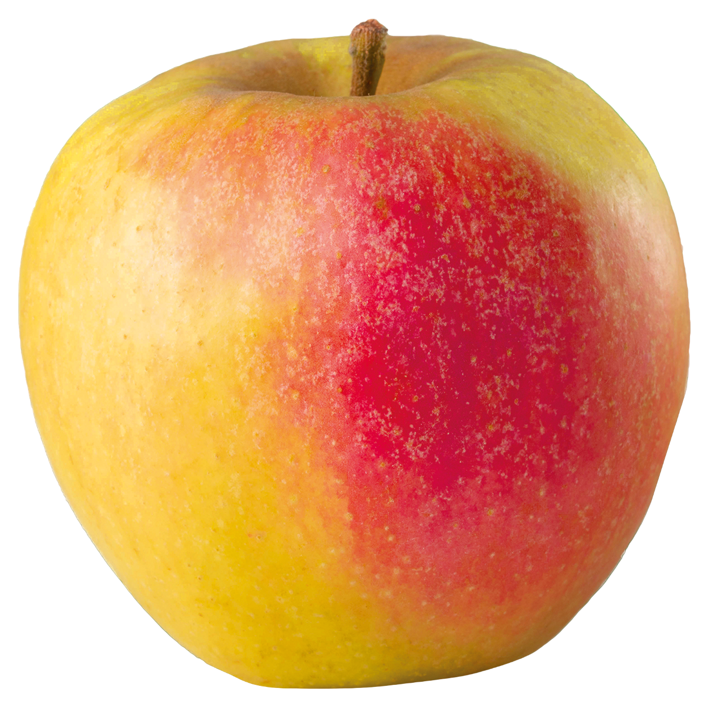 Ein leckerer und frischer Apfel