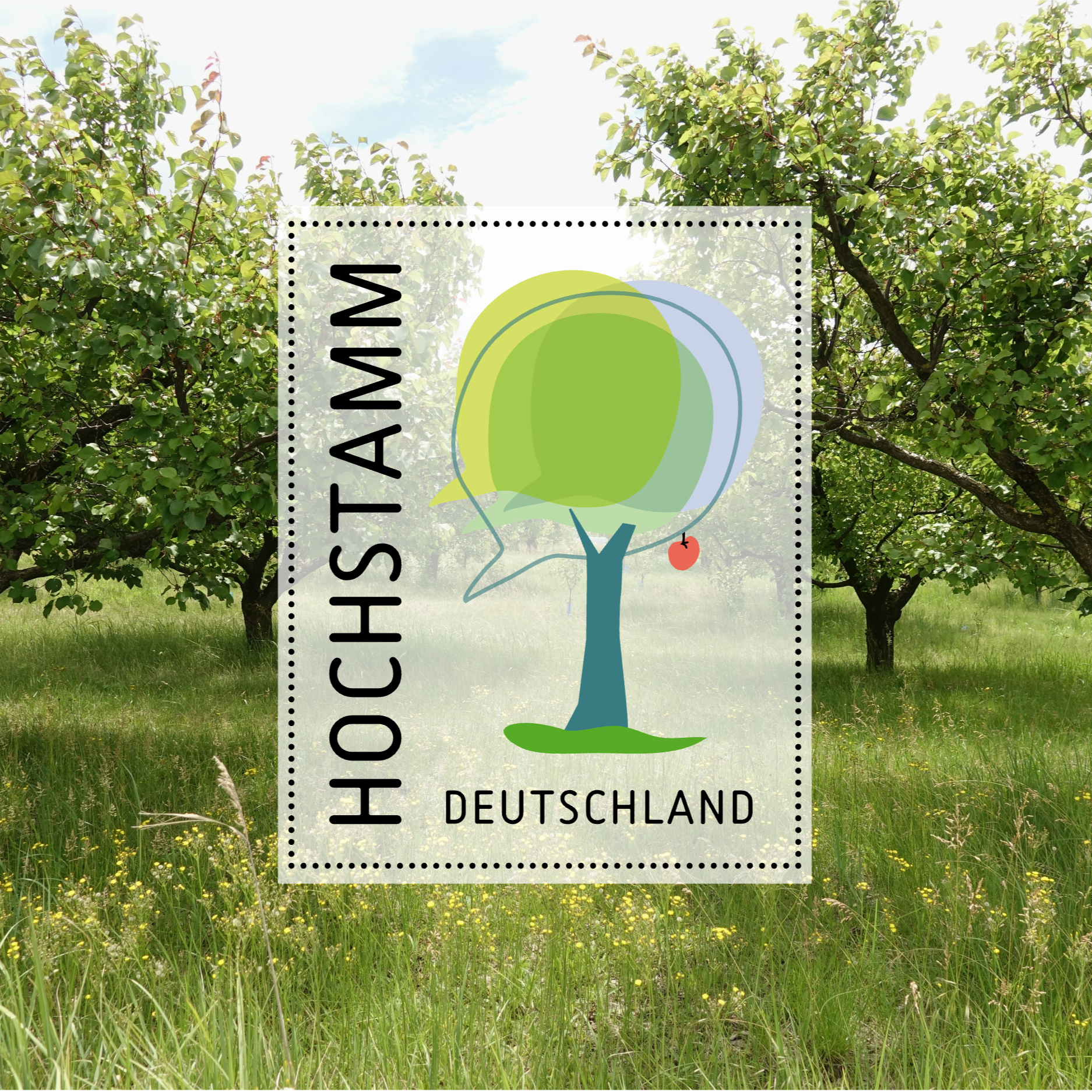 Logo Hochstamm Deutschland, eingebettet in einem Bild einer Streuobstwiese